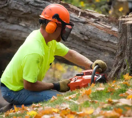 tree services Pleasant View